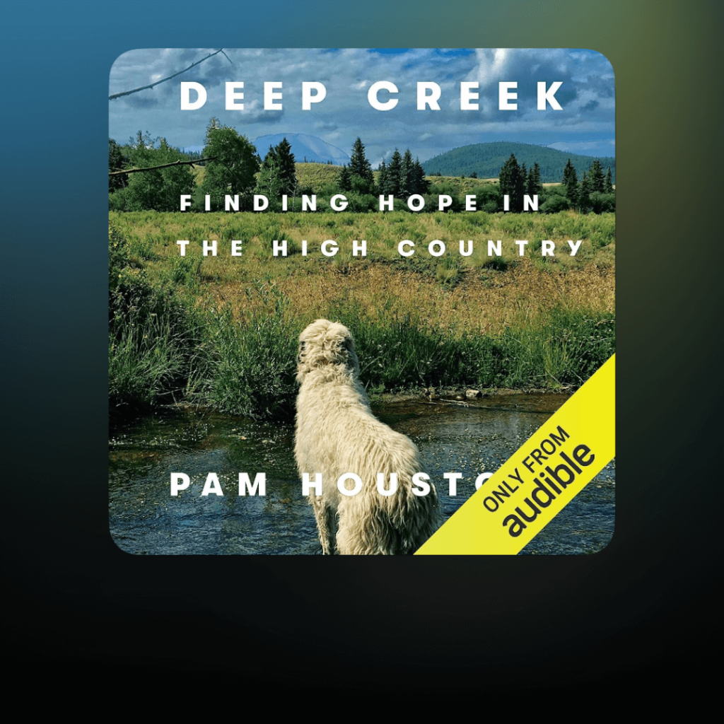 Deep Creek by Pam Houston