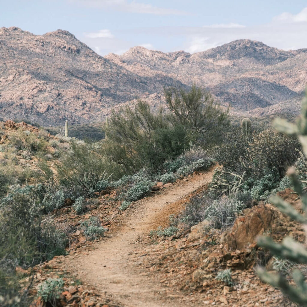 A run through the Arizona desert in February of 2023.